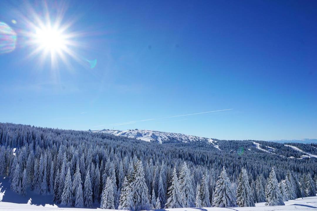 Milmari Boutique Apartment S4 Kopaonik Exteriér fotografie